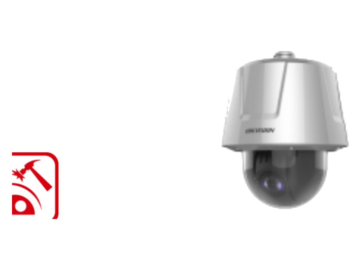 DS-2DT6425X-AELYT5 Hikvision DS-2DT6425X-AELYT5 產品圖片