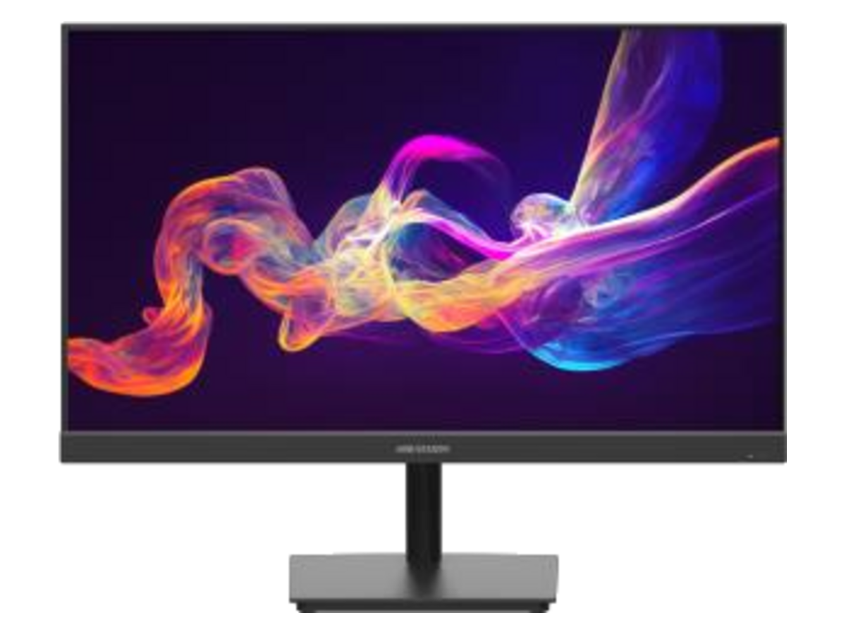 DS-D5024F2-AP2 Hikvision 23.8 inch FHD 100Hz IPS Monitor 產品圖片