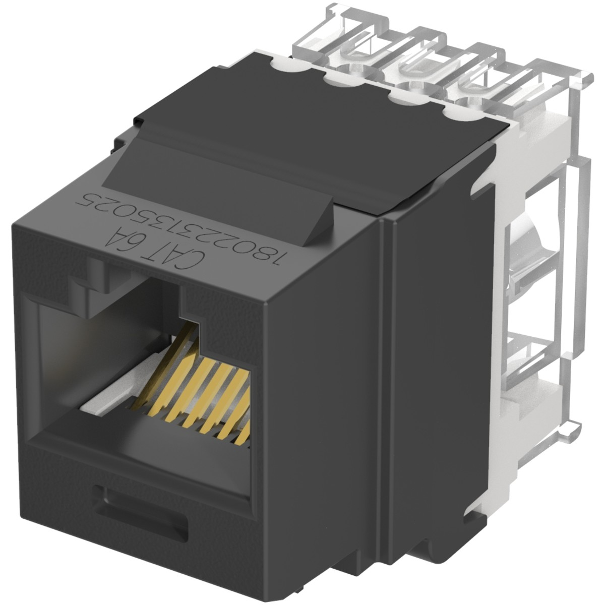 NK6X88MBL CAT6A 打線式網絡插座模組(黑色) 產品圖片