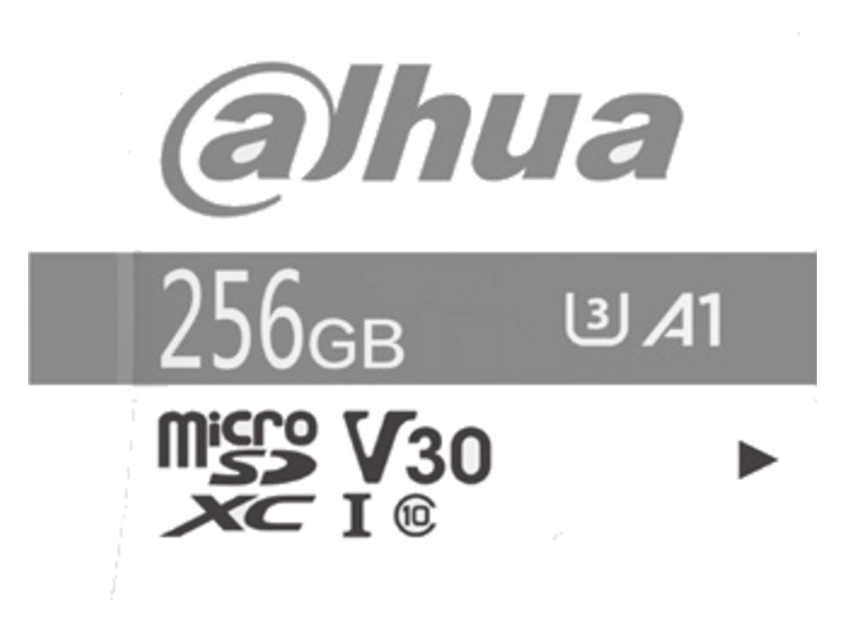 TF-P100-256G dahua DHI-TF-P100 產品圖片