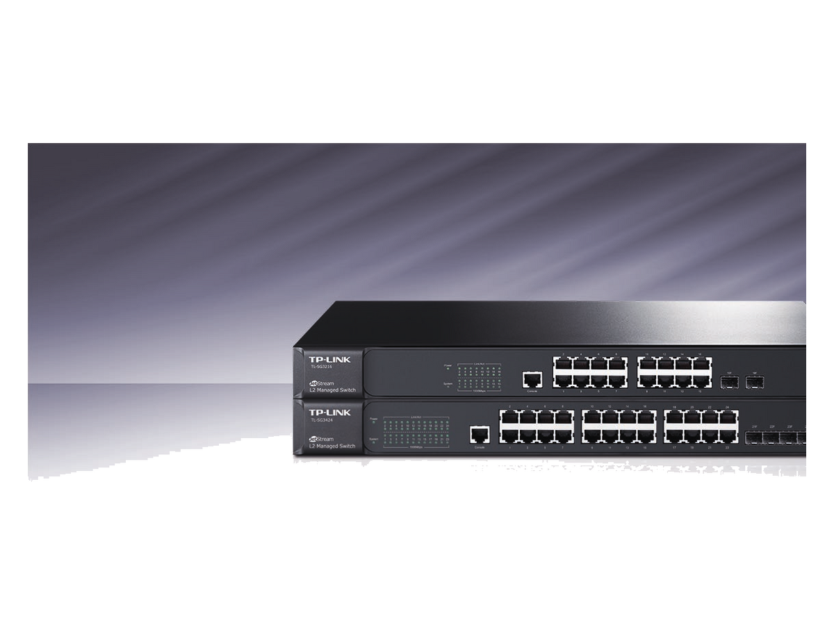 TL-SG3216-V2 tp-link TM 產品圖片